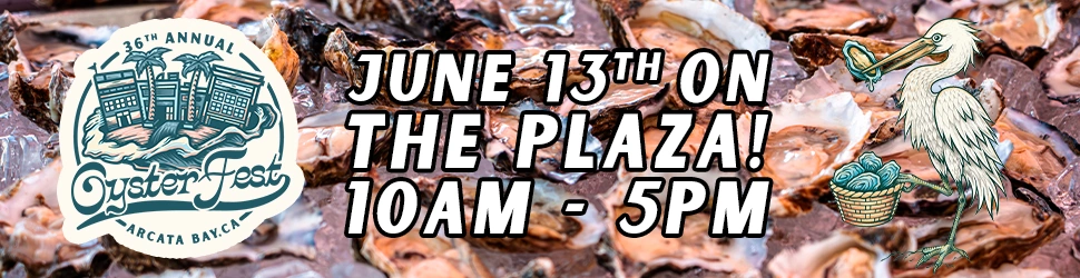“June 13th on the Plaza! 10AM–5PM” Oystertime fest banner with oyster graphic and heron illustration.